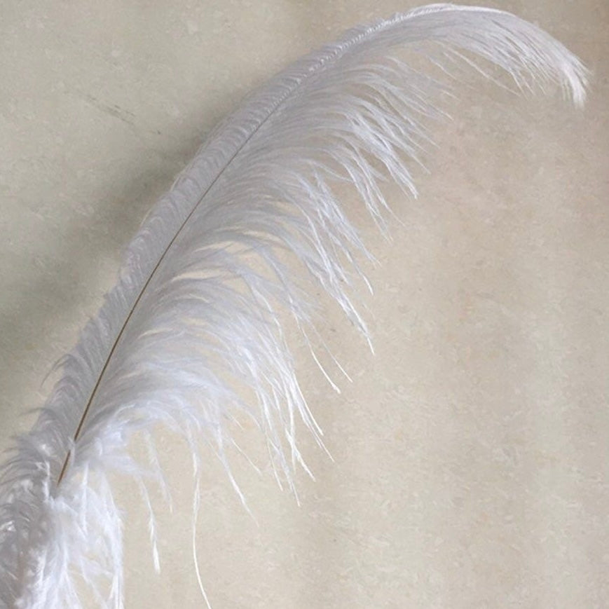 Long & Lush Luxury Lashes - Long Live Luxury Lashes!