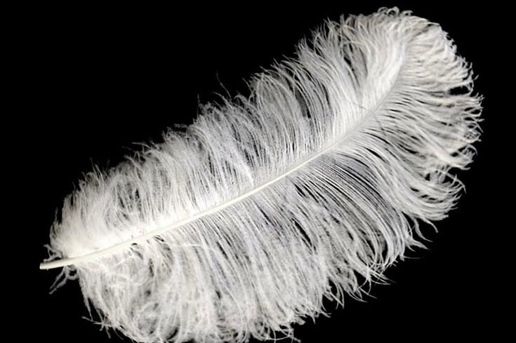 Long & Lush Luxury Lashes - Long Live Luxury Lashes!