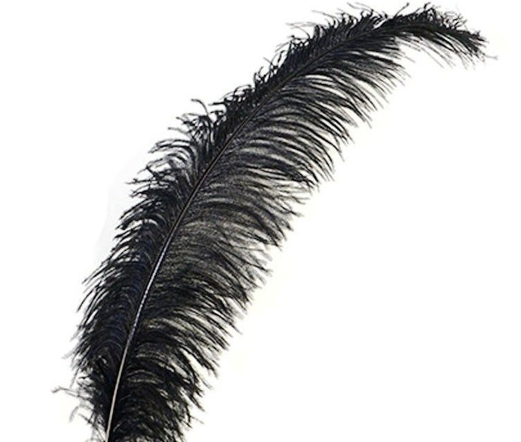 Long & Lush Luxury Lashes - Long Live Luxury Lashes!
