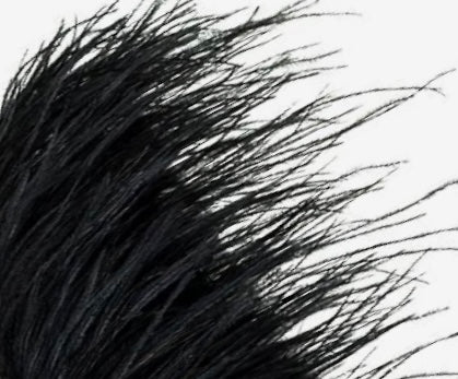 Long & Lush Luxury Lashes - Long Live Luxury Lashes!