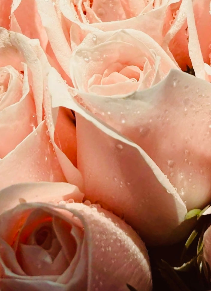 "Stop it! ...Your Making Me Blush!" Lady La Belle Blush Singles