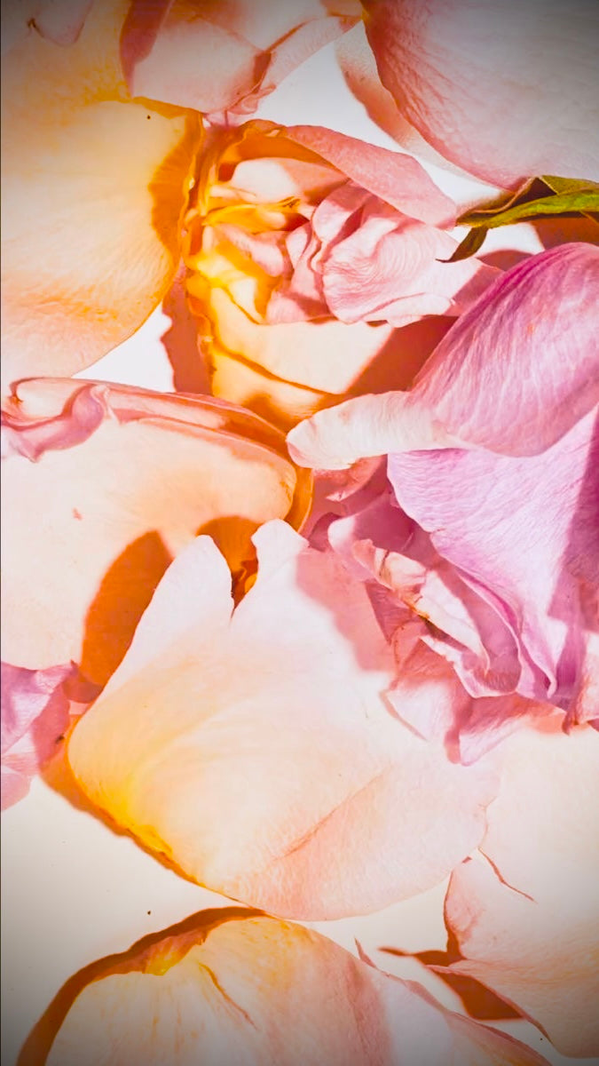 "Stop it! ...Your Making Me Blush!" Lady La Belle Blush Singles