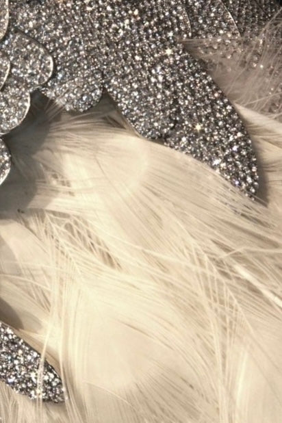 For those that want the “BEST” in life…This is the ultimate Luxurious Rhinestone Encrusted Mascara. It’s long, luxurious, thick and bold. It’s the fur coat on a Wednesday type of person.