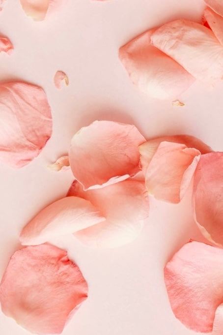 "Stop it! ...Your Making Me Blush!" Lady La Belle Blush Singles