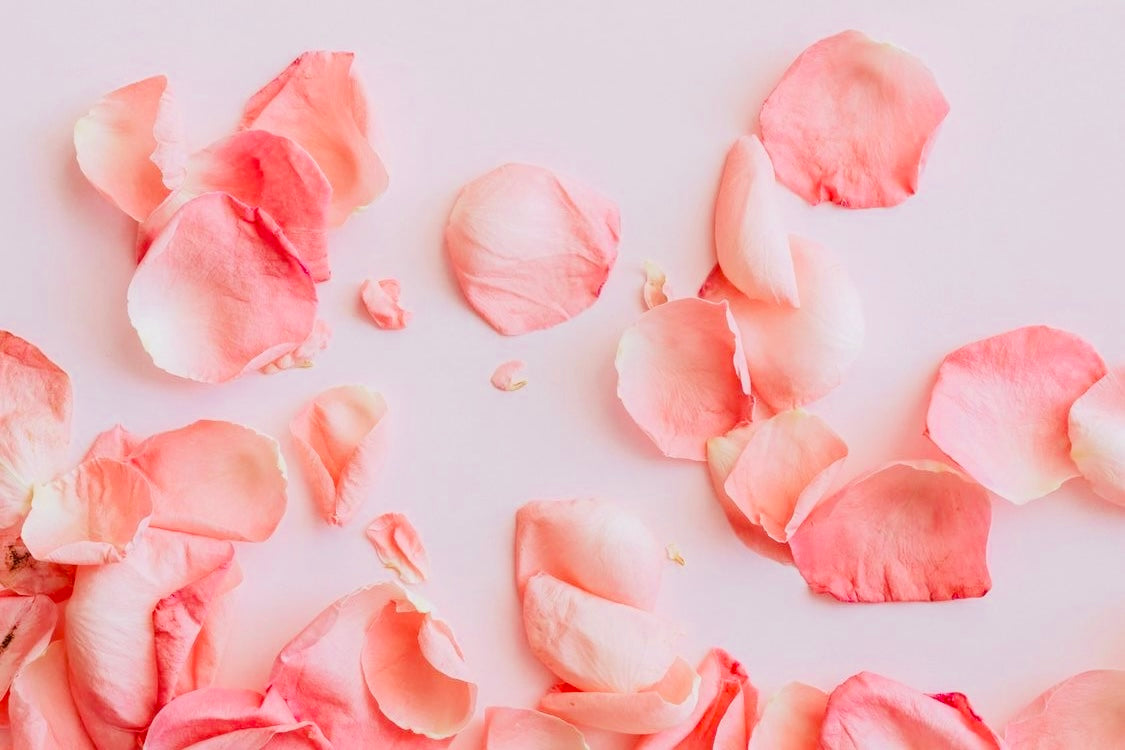 "Stop it! ...Your Making Me Blush!" Lady La Belle Blush Singles
