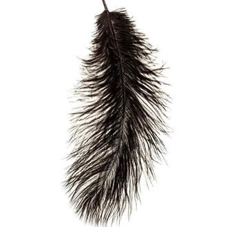 Long & Lush Luxury Lashes - Long Live Luxury Lashes!