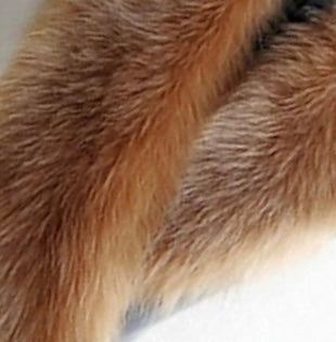 Thick Lashes (Gold Top) Volume Meets Luxury: Fuller, Richer, Statement Lashes!