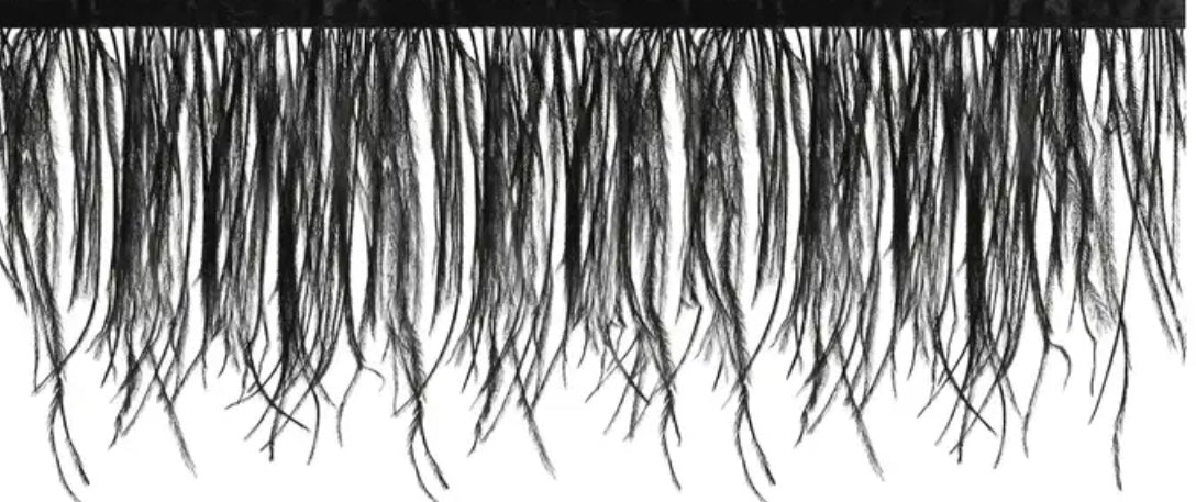 Long & Lush Luxury Lashes - Long Live Luxury Lashes!