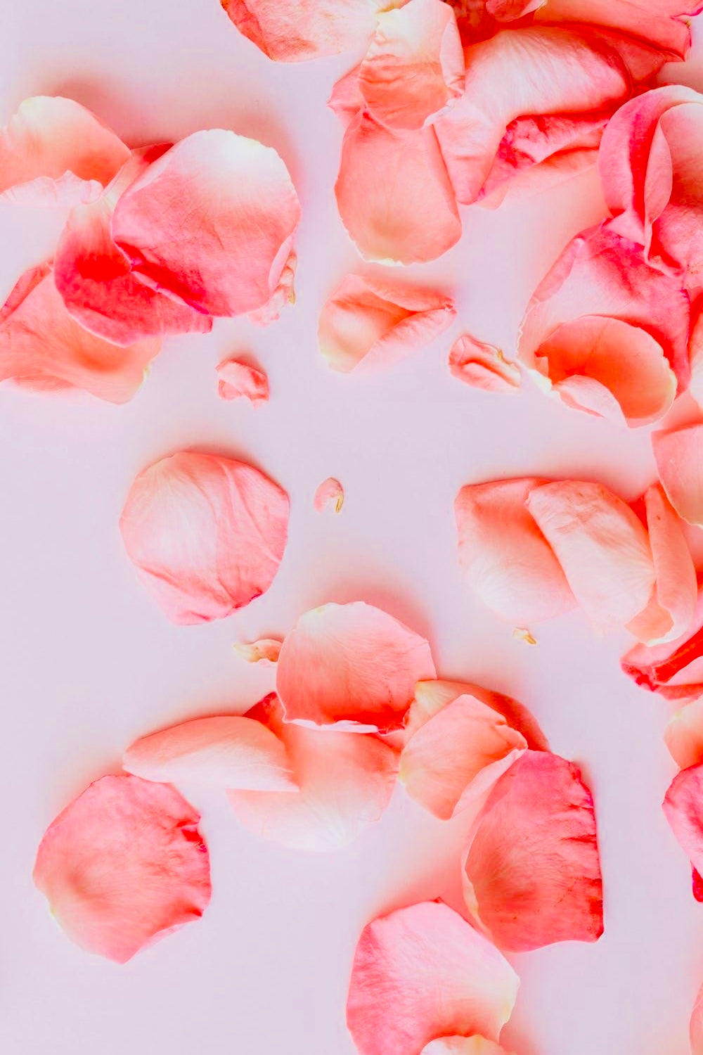 "Stop it! ...Your Making Me Blush!" Lady La Belle Blush Singles