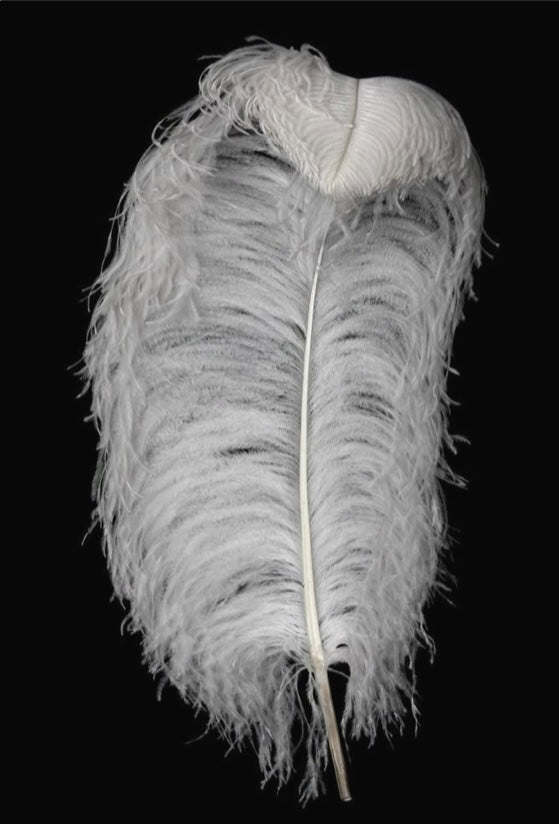 Long & Lush Luxury Lashes - Long Live Luxury Lashes!