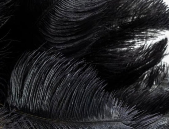 Thick Lashes (Black Top) Meets Long & Lush: Fuller, Richer, Longer Lashes- The Best of Both Worlds!